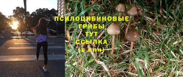 а пвп мука Зеленодольск