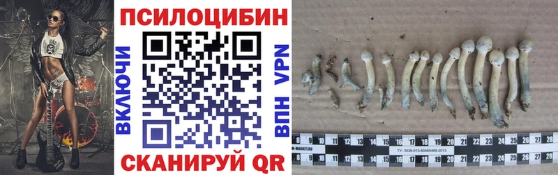 Псилоцибиновые грибы мухоморы  Купить  Волосово 