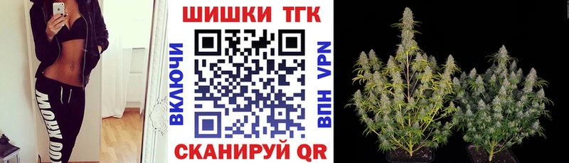 Купить закладки  Волосово  МАРИХУАНА SATIVA & INDICA 